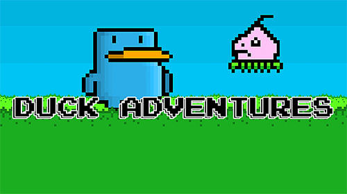 Duck adventures