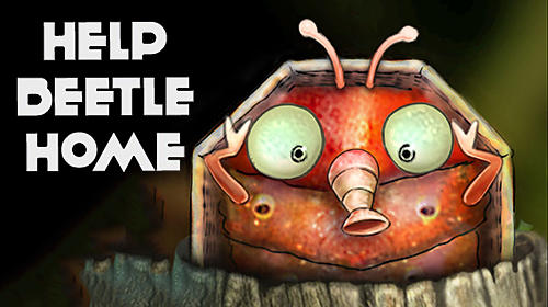 Help beetle home