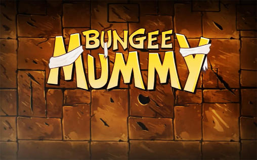 Scarica Bungee mummy gratis per Android 4.3.