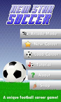 Scarica New Star Soccer gratis per Android.