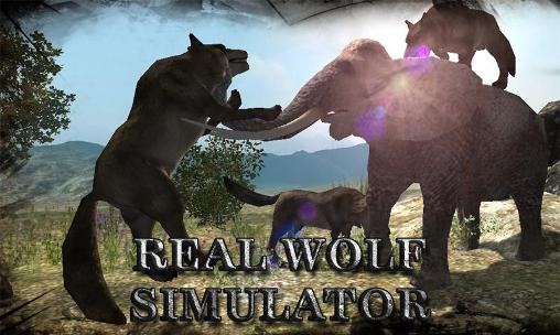 Scarica Real wolf simulator gratis per Android 4.3.
