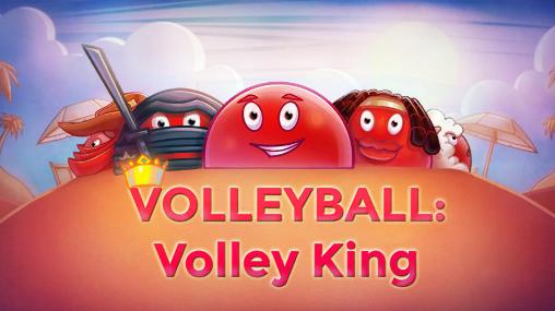 Scarica Volleyball: Volley king gratis per Android.