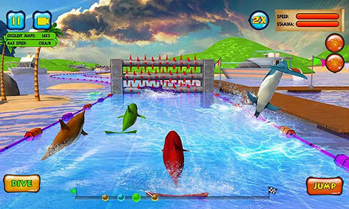 Dolphin racing 3D