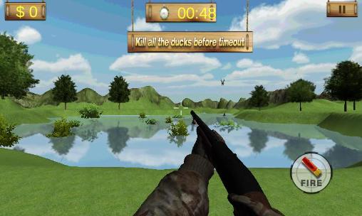 Duck hunting 3D
