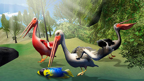 Pelican bird simulator 3D