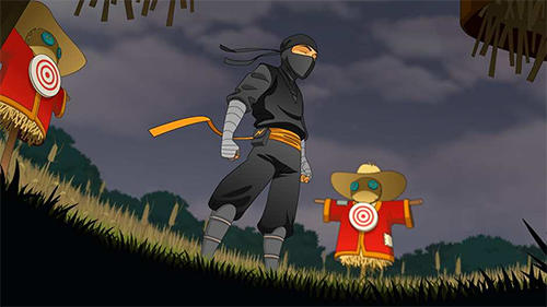 Reign of the ninja
