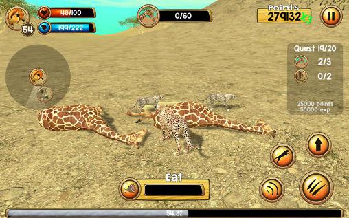 Wild cheetah sim 3D