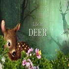 Con gioco 4x4 Safari per Android scarica gratuito Life of deer sul telefono o tablet.