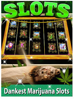 Scarica Kush Slots: Marijuana Casino, Lucky Weed Smokers gratis per Android 4.1.