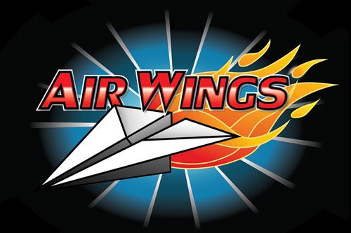 Scaricare gioco Multiplayer Air wings per iPhone gratuito.