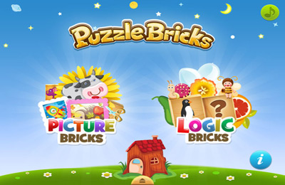 Puzzle Bricks