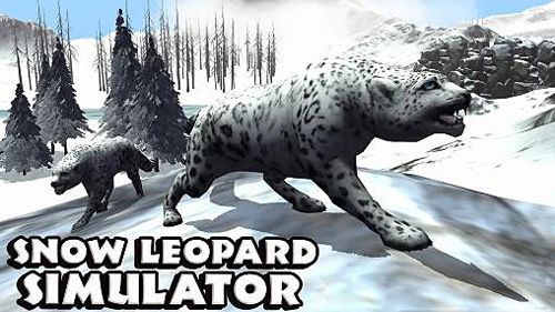 Snow leopard simulator