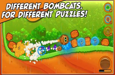 Bombcats Special Edition