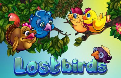 Lost Birds
