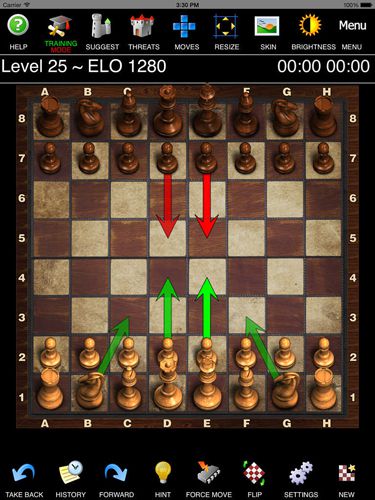 Chess pro