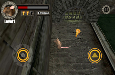 Sewer Rat Run 3D! Plus