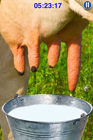 Milk  the cow pro