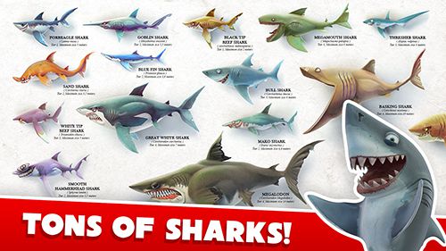 Hungry shark world