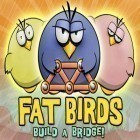 Con gioco Angry birds. Seasons: Ski or squeal per iPhone scarica gratuito Fat Birds Build a Bridge!.