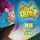 Mit der Spiel Super hexagon ipa für iPhone du kostenlos Sonics Rabbit herunterladen.