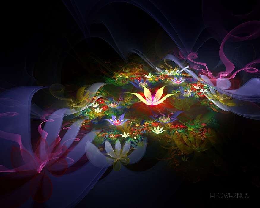 Abstraction, Flowers, Backgrounds
