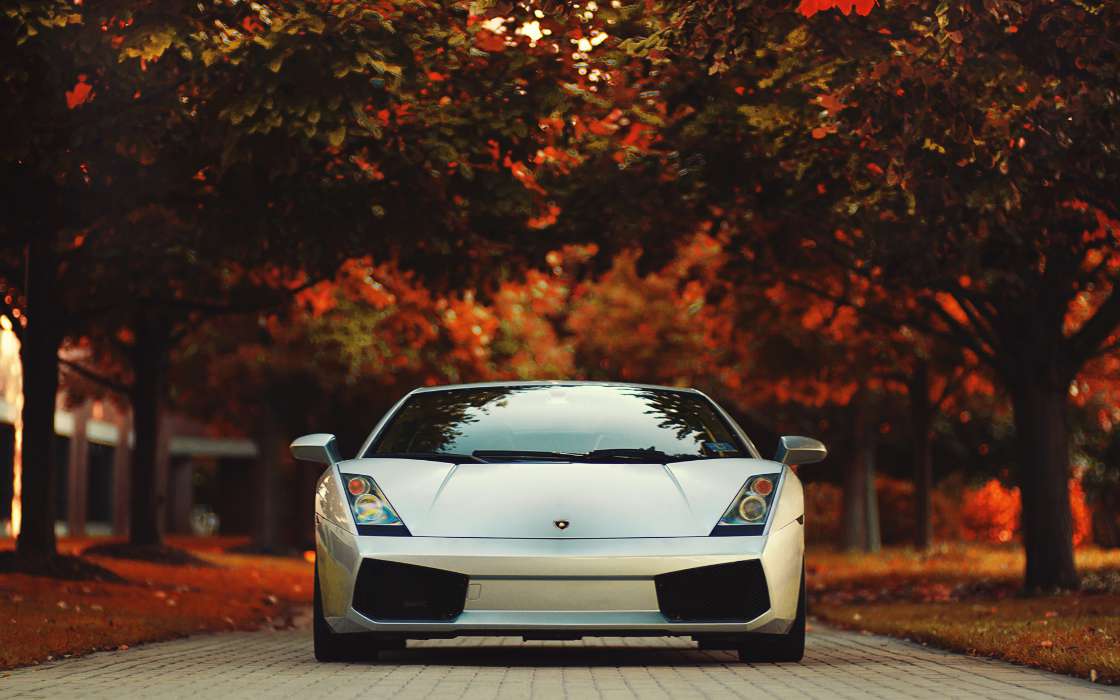 Lamborghini,Auto,Transport