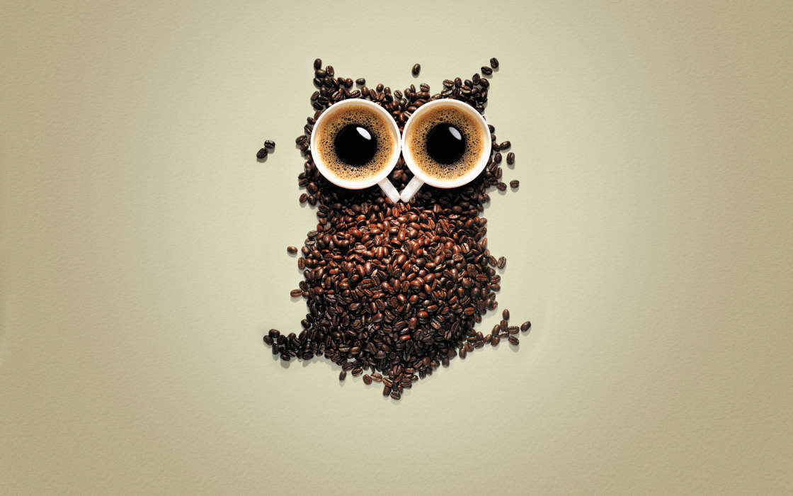 Art, Coffee, Owl, Funny, Animals