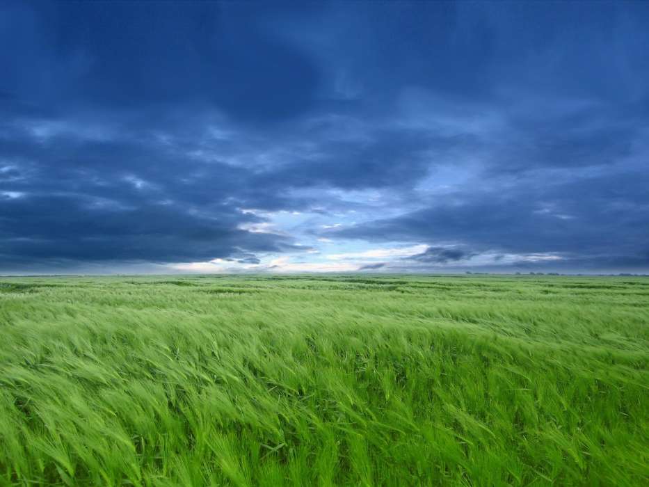 Landscape, Grass, Sky, Art