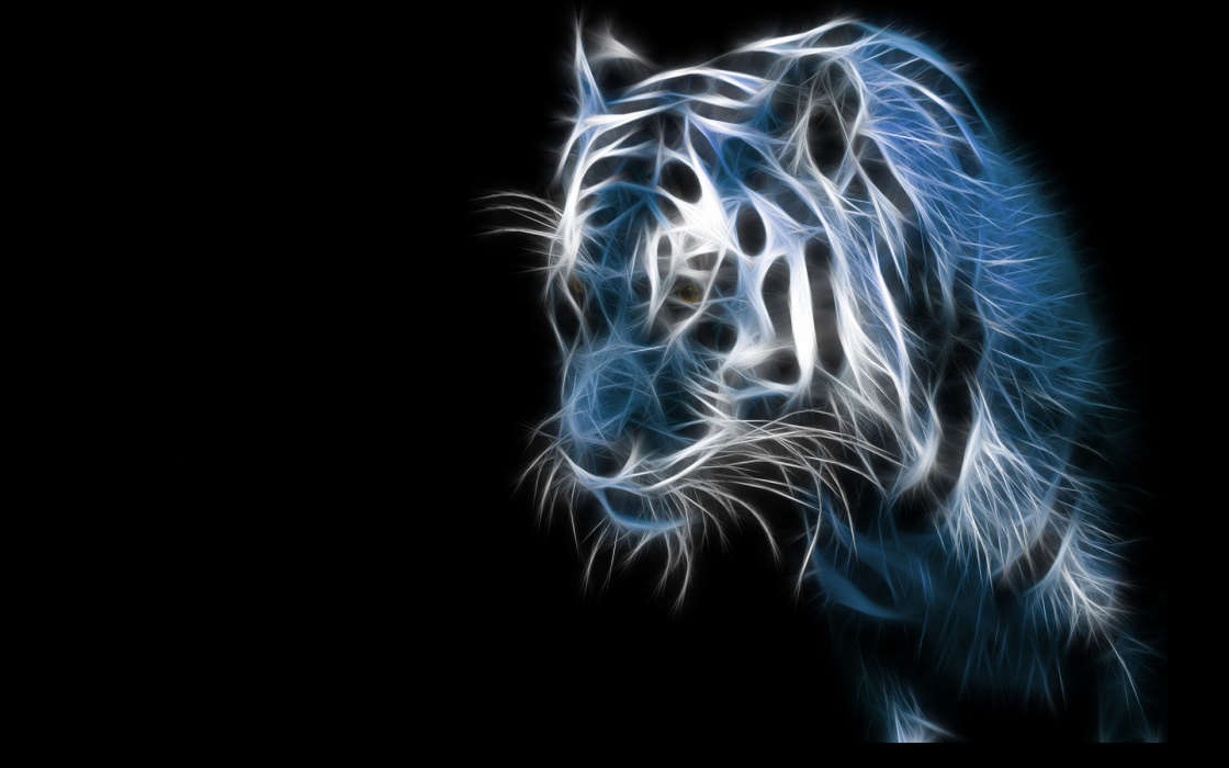 Art, Tigers, Animals