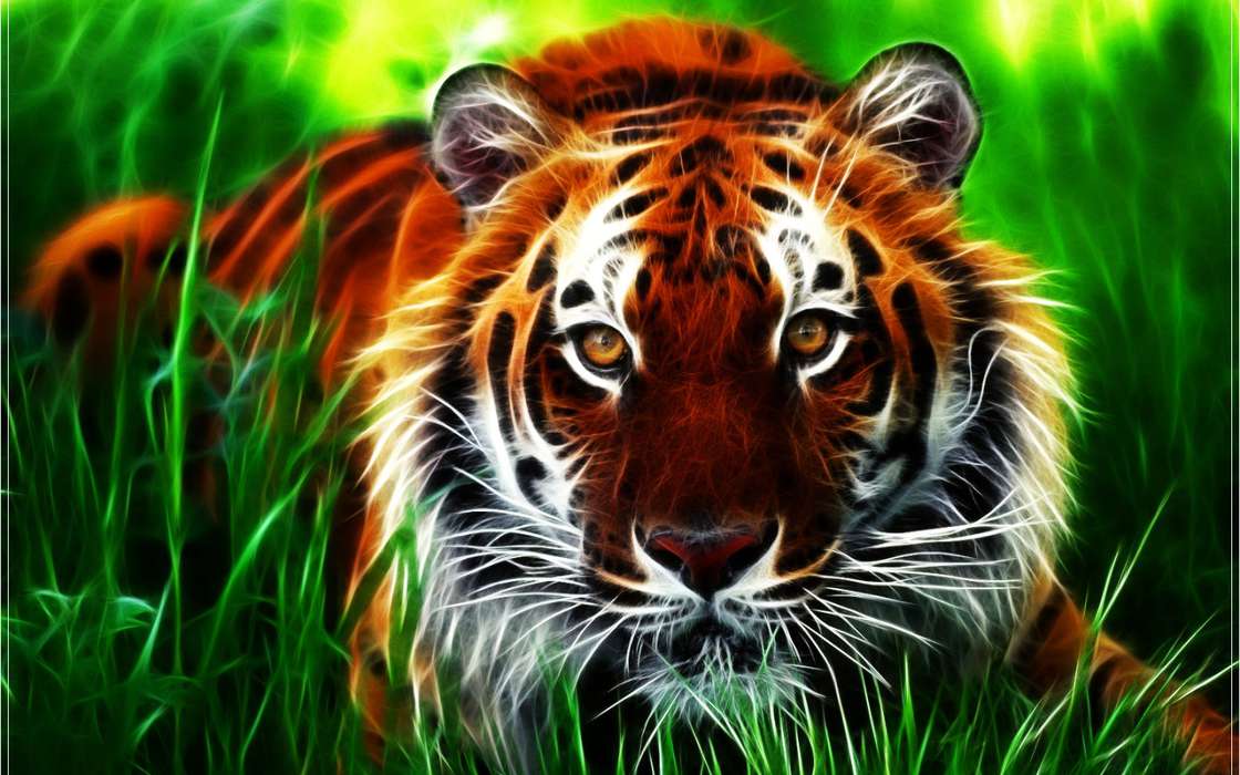 Art photo,Tigers,Animals