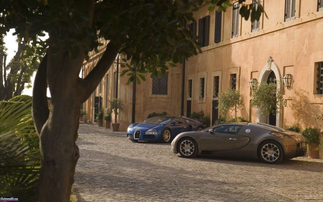 Auto, Bugatti, Houses, Transport