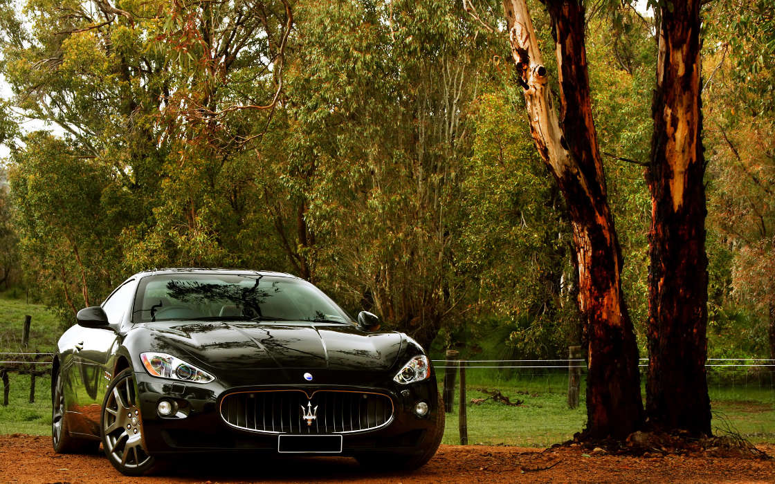 Auto, Maserati, Transport
