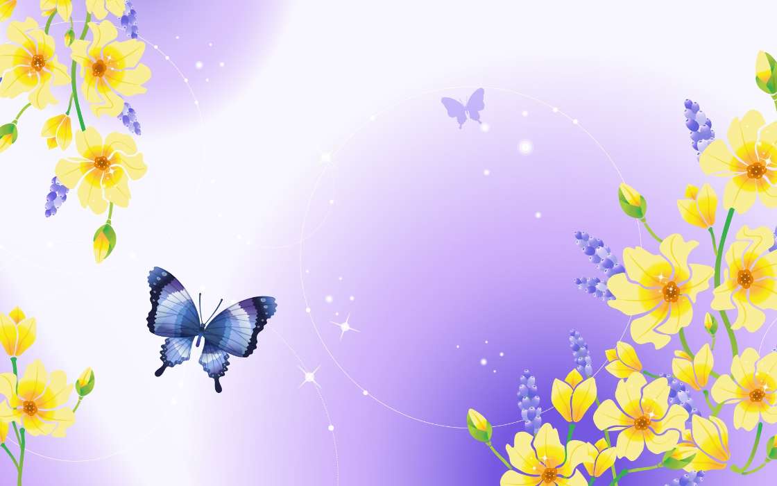 Butterflies, Backgrounds, Drawings
