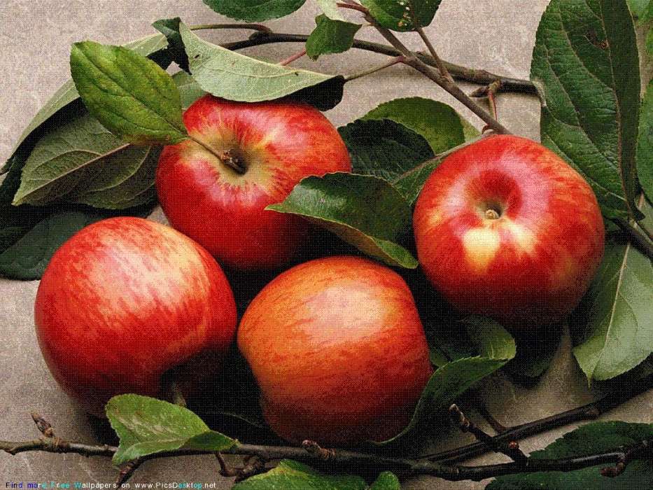 Plants, Fruits, Food, Apples