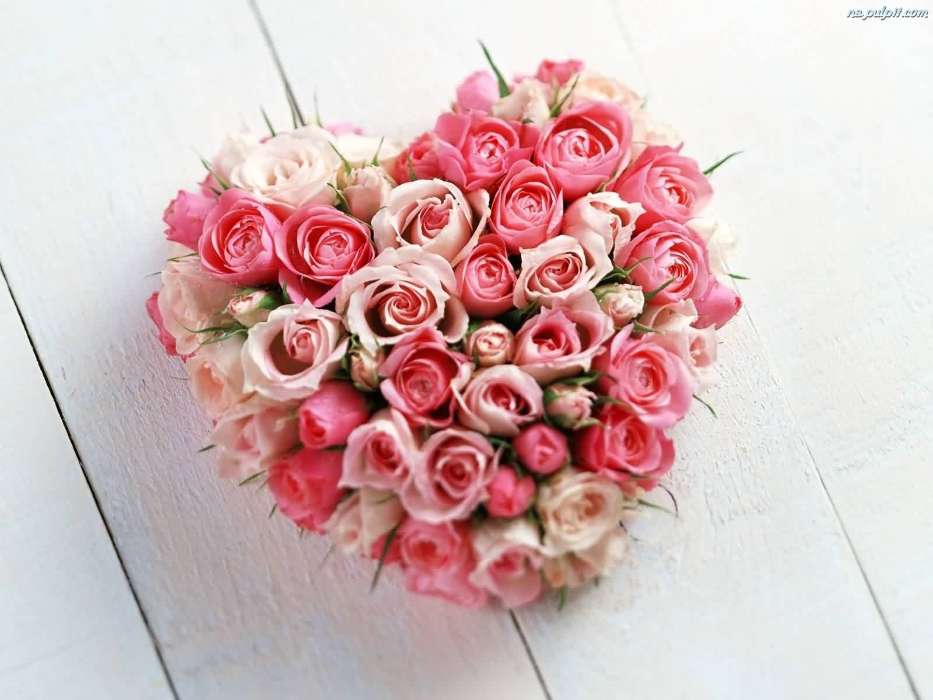 Bouquets, Flowers, Valentine&#039;s day, Holidays, Plants, Roses, Hearts