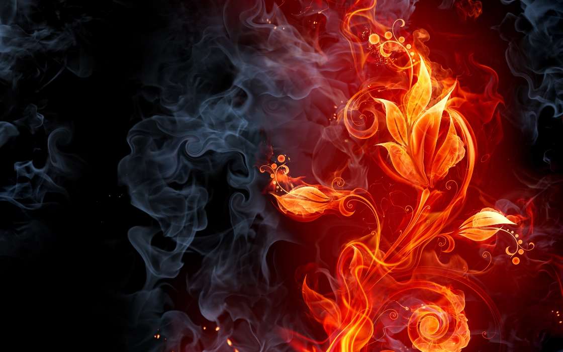 Flowers, Smoke, Background, Fire
