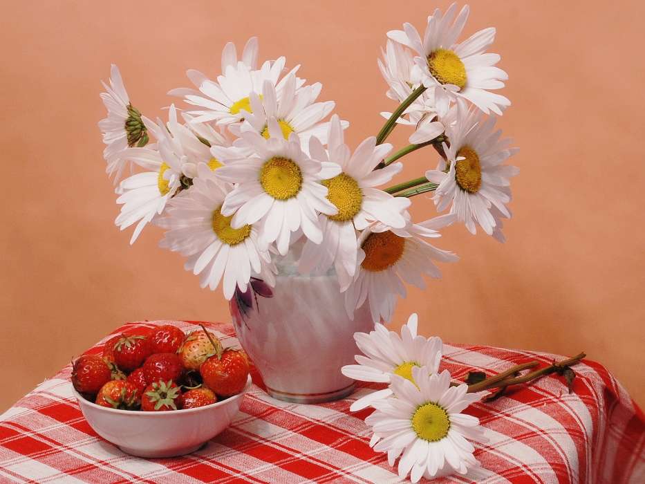 Plants, Flowers, Food, Strawberry, Camomile