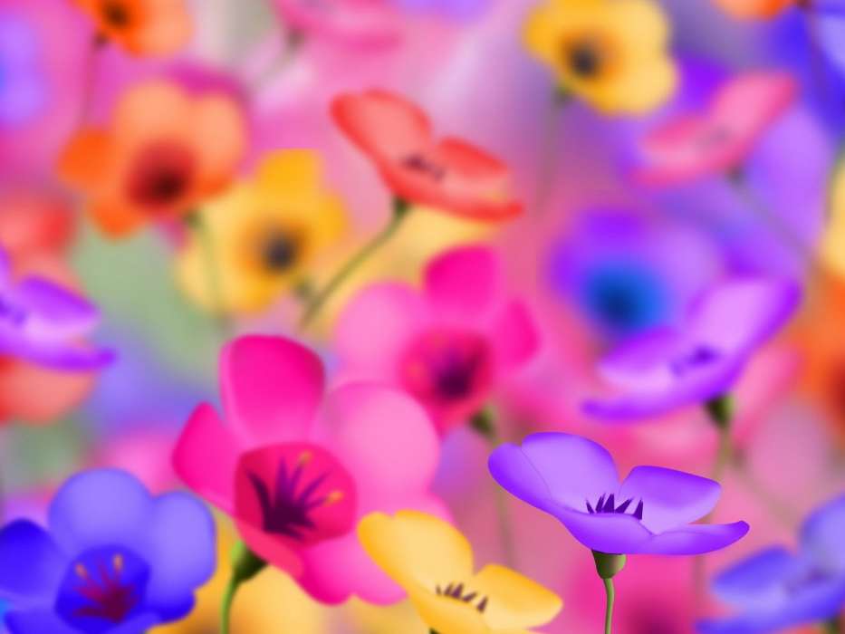 Flowers,Background