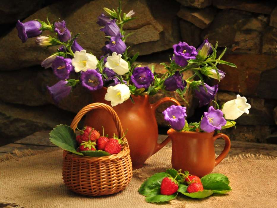 Flowers,Objects,Plants