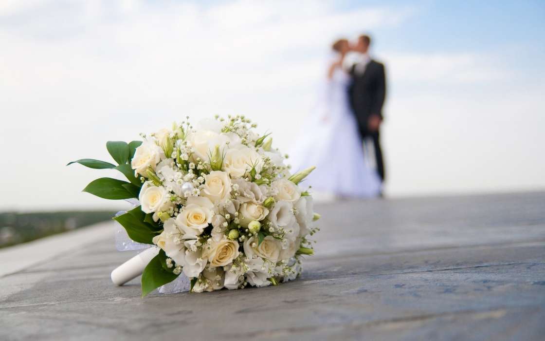 Flowers,Holidays,Plants,Wedding