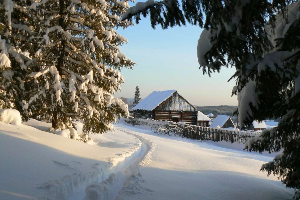 Trees, Houses, Landscape, Snow, Winter