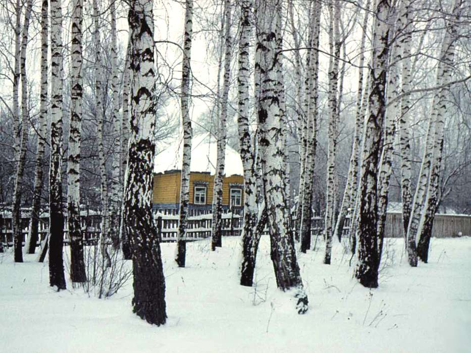 Landscape, Winter, Houses, Trees