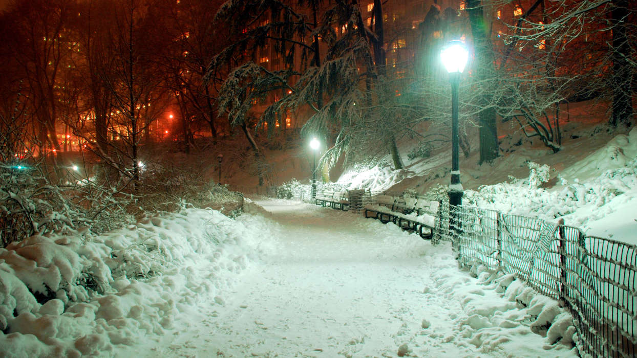 Trees, Roads, Night, Landscape, Snow