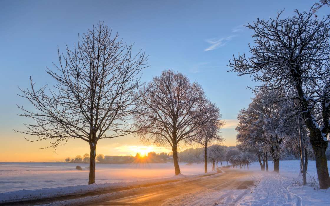 Trees, Roads, Landscape, Snow, Sunset, Winter
