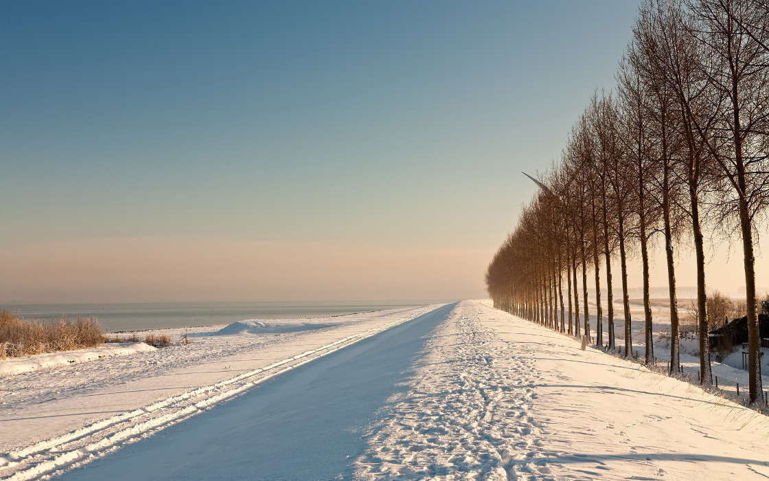 Trees, Roads, Landscape, Snow, Winter