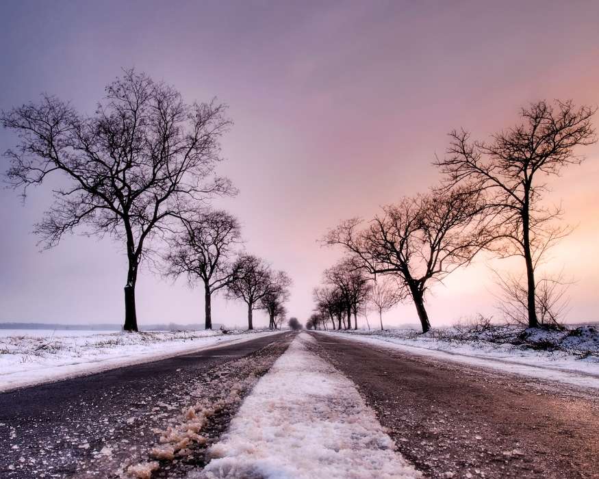 Landscape, Winter, Trees, Roads