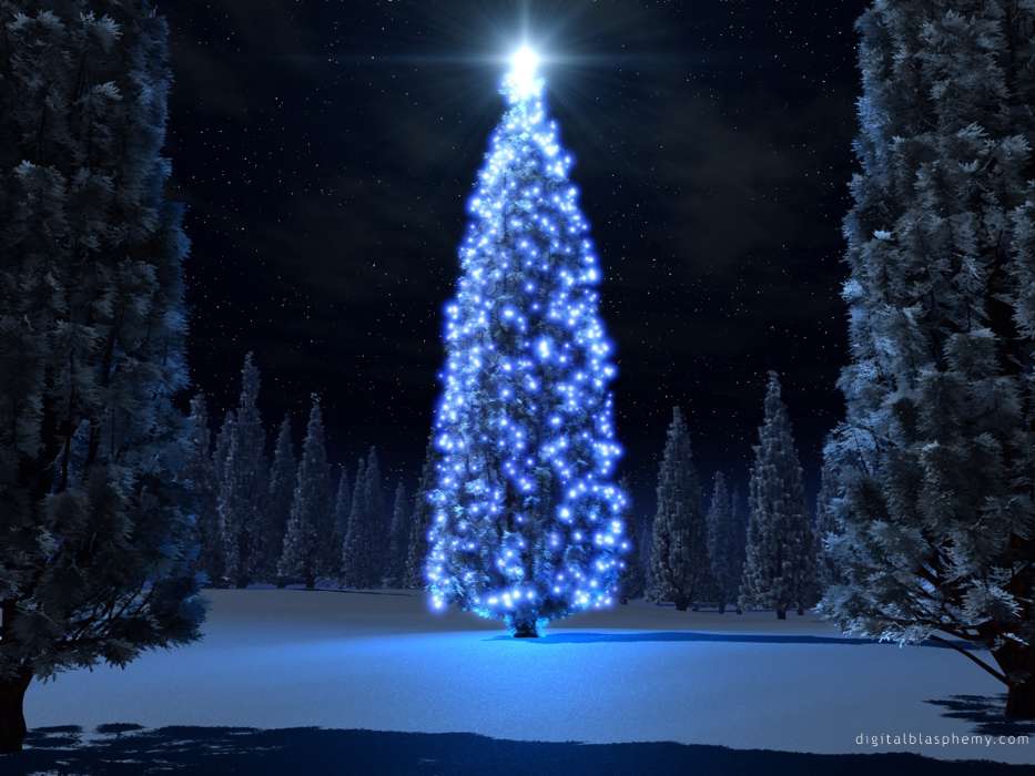 Holidays, Trees, New Year, Fir-trees, Christmas, Xmas