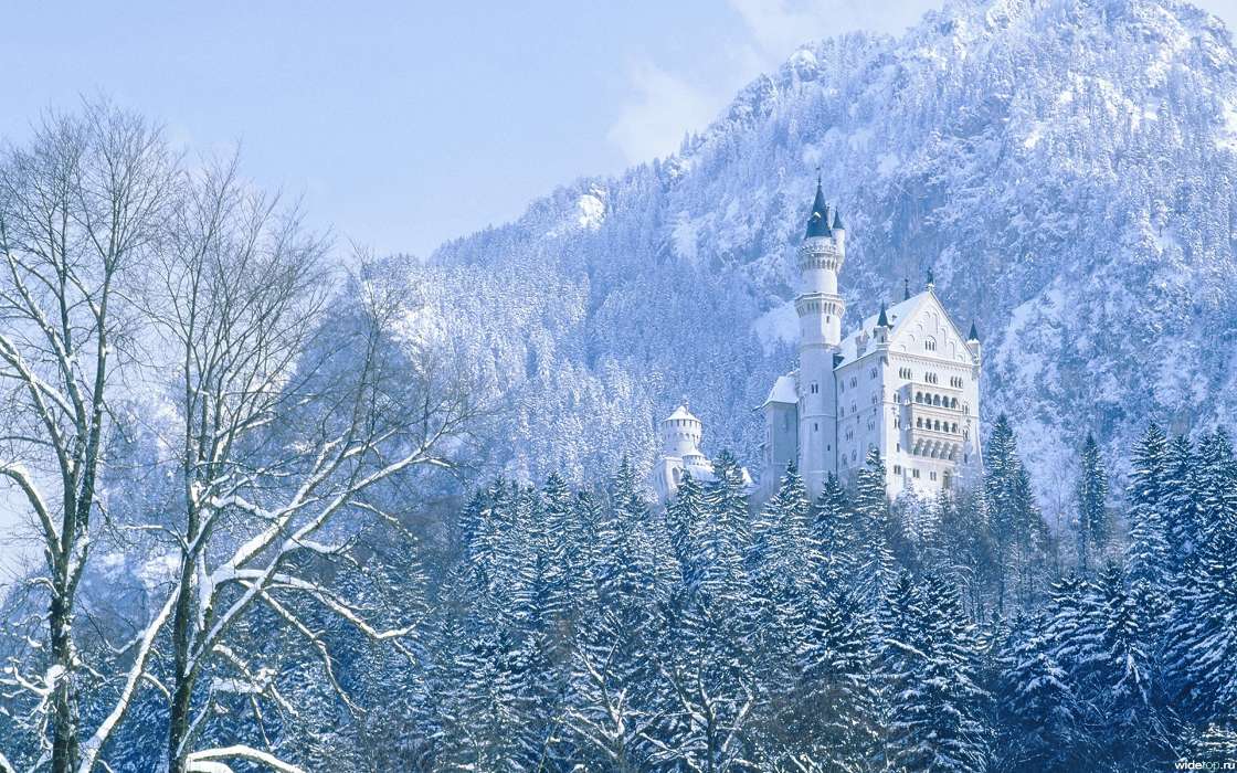 Trees, Mountains, Landscape, Castles, Winter