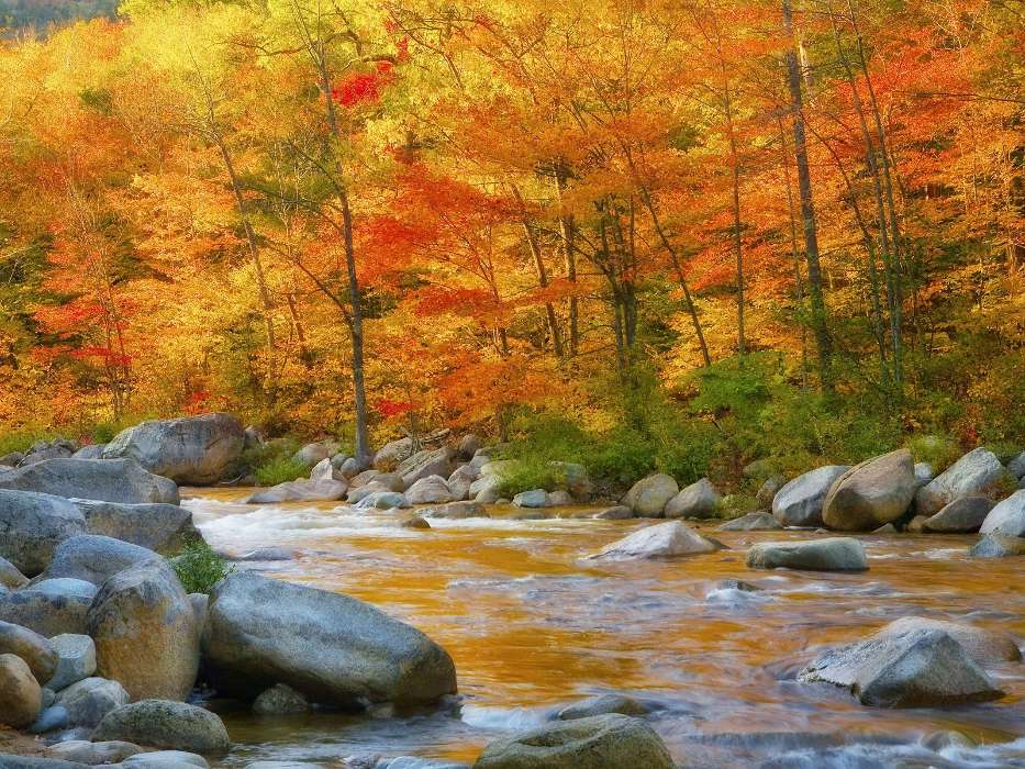 Landscape, Water, Rivers, Trees, Stones, Autumn