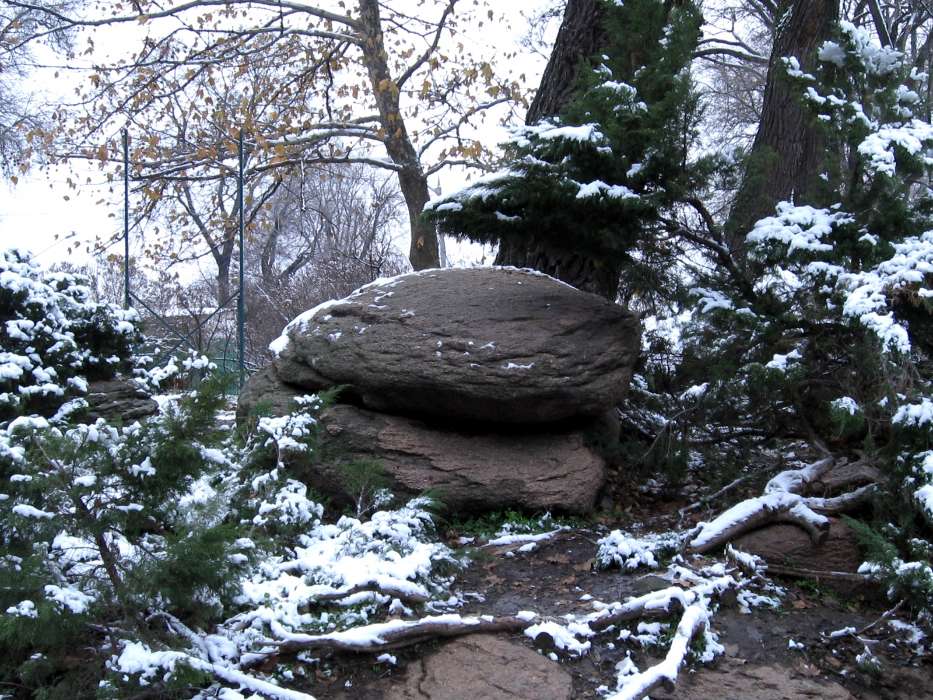 Landscape, Winter, Trees, Stones
